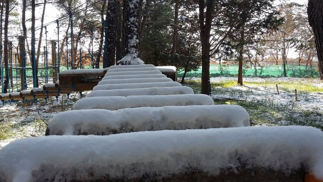 La neve non ci ferma.jpg
